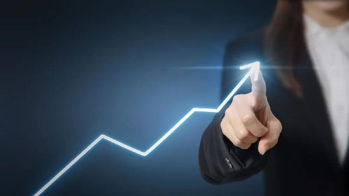 合肥网络优化公司哪家好？辰俊营销 与互联网一同进化，驱动销售新未来