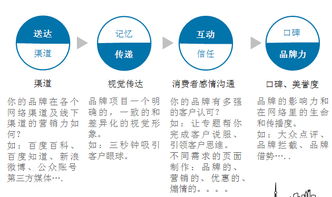 实战指南 互联网品牌营销与销售深度融合的制胜之道